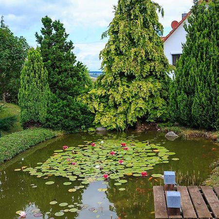 Hotel-Pension Am Rosarium Sangerhausen Eksteriør billede