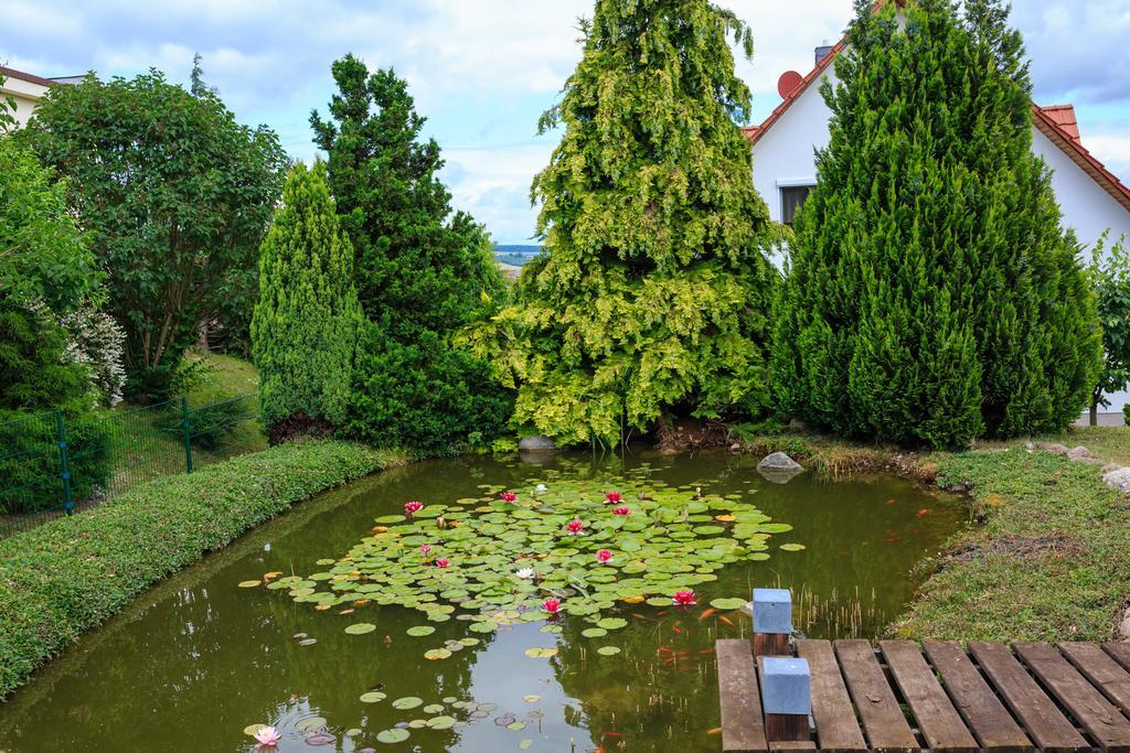 Hotel-Pension Am Rosarium Sangerhausen Eksteriør billede