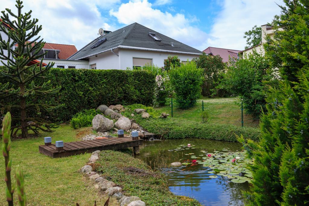 Hotel-Pension Am Rosarium Sangerhausen Eksteriør billede