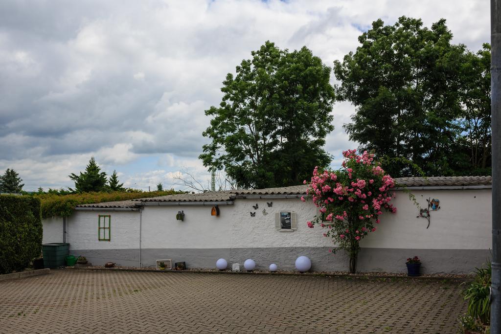 Hotel-Pension Am Rosarium Sangerhausen Eksteriør billede
