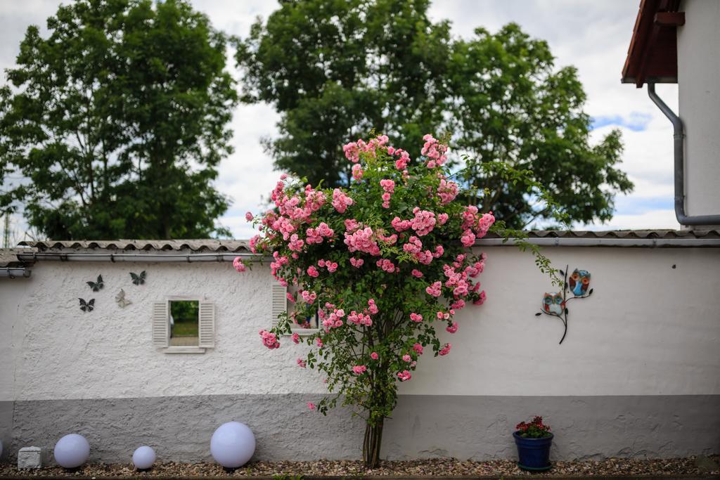 Hotel-Pension Am Rosarium Sangerhausen Eksteriør billede